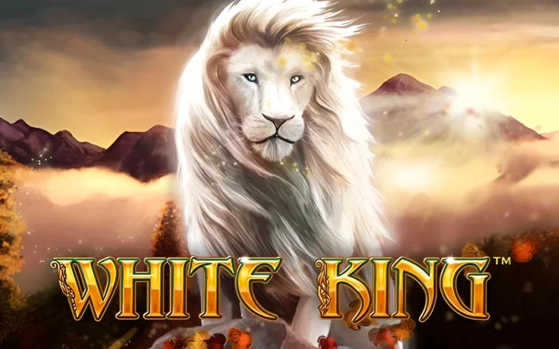 Best games aposta