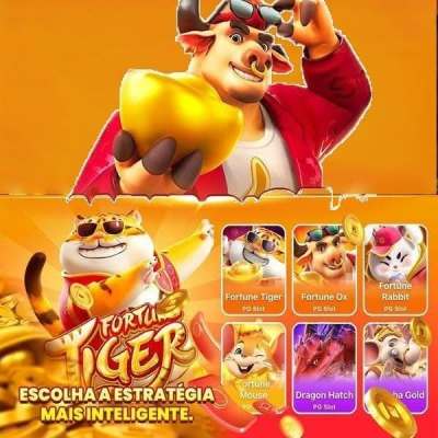 Bets rio